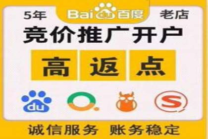 SEM竞价实战技巧，案例讲解与应用